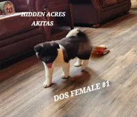 processed/953e0be9-7a00-4bd9-a611-fccafe97a5b7/listing/c118fe4c-6822-4cb4-9258-2a6aade3c7f9/9eef3a1b-0952-4c49-936c-1658cb236aaf