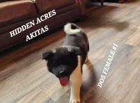 processed/953e0be9-7a00-4bd9-a611-fccafe97a5b7/listing/c118fe4c-6822-4cb4-9258-2a6aade3c7f9/e5afc620-f7ff-4ffa-bcde-779844994aba