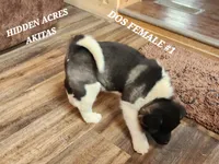 processed/953e0be9-7a00-4bd9-a611-fccafe97a5b7/listing/c118fe4c-6822-4cb4-9258-2a6aade3c7f9/e6b2d728-44e5-4b71-8bf2-d614999230ea