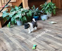 processed/953e0be9-7a00-4bd9-a611-fccafe97a5b7/listing/c118fe4c-6822-4cb4-9258-2a6aade3c7f9/f692b9e1-92da-4a1a-9d51-bc0649c23522