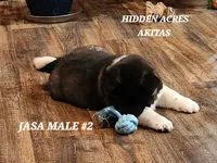 processed/953e0be9-7a00-4bd9-a611-fccafe97a5b7/listing/d26cb118-69d4-4c1a-aecd-f69dabc293fa/0c6ce5ed-b1fc-4631-ba61-8af97fcaed48