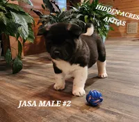 processed/953e0be9-7a00-4bd9-a611-fccafe97a5b7/listing/d26cb118-69d4-4c1a-aecd-f69dabc293fa/1449e995-8809-4063-a020-9a6c29ec94fa