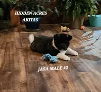 processed/953e0be9-7a00-4bd9-a611-fccafe97a5b7/listing/d26cb118-69d4-4c1a-aecd-f69dabc293fa/3dc63073-804d-47f9-9c40-60cd4efb217c