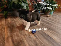 processed/953e0be9-7a00-4bd9-a611-fccafe97a5b7/listing/d26cb118-69d4-4c1a-aecd-f69dabc293fa/3ef85859-c928-4c03-b511-530e667c1017