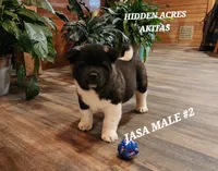 processed/953e0be9-7a00-4bd9-a611-fccafe97a5b7/listing/d26cb118-69d4-4c1a-aecd-f69dabc293fa/744c62e8-a4e7-4eef-8de9-df60b0759556