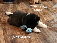 processed/953e0be9-7a00-4bd9-a611-fccafe97a5b7/listing/d26cb118-69d4-4c1a-aecd-f69dabc293fa/a235b0c3-330e-47a8-b3bc-243383f92461