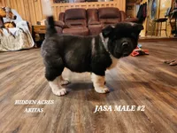 processed/953e0be9-7a00-4bd9-a611-fccafe97a5b7/listing/d26cb118-69d4-4c1a-aecd-f69dabc293fa/ad714e7c-671f-4a2d-8c09-01beaf64f170