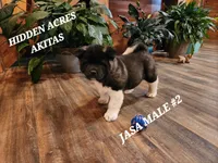 processed/953e0be9-7a00-4bd9-a611-fccafe97a5b7/listing/d26cb118-69d4-4c1a-aecd-f69dabc293fa/ef34ab5f-2fc8-42b0-ab90-b2f141baee67