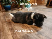 processed/953e0be9-7a00-4bd9-a611-fccafe97a5b7/listing/d26cb118-69d4-4c1a-aecd-f69dabc293fa/fbb42e14-6f7b-424c-b1b2-9904a0eb1833