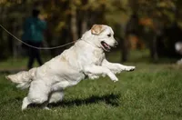 processed/953f8bf1-003e-477a-ac95-8a74c686a9b8/facility/10c4f785-847c-464a-b3c1-14f7206b389f