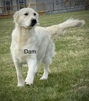 processed/953f8bf1-003e-477a-ac95-8a74c686a9b8/facility/ce0667e2-4ec0-40db-9723-e5078c59fdd0