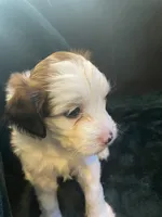 processed/955364f8-2f16-4c33-8672-82cd998a0538/listing/1dbacb2d-88ab-443f-862f-478124795e01/43a43f5e-ff5e-42f6-b320-7622f8bbc4b4