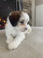 processed/955364f8-2f16-4c33-8672-82cd998a0538/listing/1dbacb2d-88ab-443f-862f-478124795e01/a0c2357a-fe20-4dd5-bd42-955ecd0c9e48