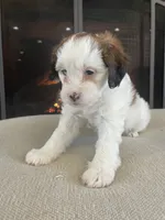 processed/955364f8-2f16-4c33-8672-82cd998a0538/listing/1dbacb2d-88ab-443f-862f-478124795e01/bf72e39a-3b67-42ab-93e4-ce3f0e73b325