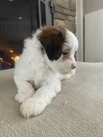 processed/955364f8-2f16-4c33-8672-82cd998a0538/listing/1dbacb2d-88ab-443f-862f-478124795e01/e8515f59-d765-4844-994f-4469a737dcd8