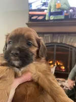 processed/955364f8-2f16-4c33-8672-82cd998a0538/listing/a19f1a57-a44a-4135-b63f-244c36399be0/07cde269-0374-44f7-9222-d69e430907ea