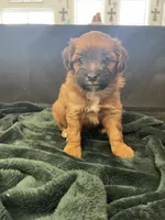 processed/955364f8-2f16-4c33-8672-82cd998a0538/listing/a19f1a57-a44a-4135-b63f-244c36399be0/4395f6a9-44b3-48c6-8e15-89400b5ecded