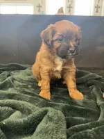 processed/955364f8-2f16-4c33-8672-82cd998a0538/listing/a19f1a57-a44a-4135-b63f-244c36399be0/7aed1e98-7e96-445d-8ab1-47a15c8e2fa5