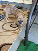 processed/95677461-1601-462b-8d89-104f769c780c/listing/2577d826-07cc-4143-b32b-567a4c912181/367d6830-50f8-4d4a-bf4c-f4966c90a48e