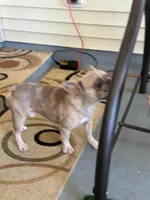 processed/95677461-1601-462b-8d89-104f769c780c/listing/2577d826-07cc-4143-b32b-567a4c912181/734792ff-de1a-494c-85ff-417836751cce