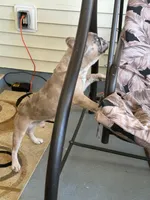 processed/95677461-1601-462b-8d89-104f769c780c/listing/2577d826-07cc-4143-b32b-567a4c912181/d155fa60-3efd-4d1b-bcdd-97f53ce3933f