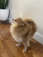 processed/95677461-1601-462b-8d89-104f769c780c/listing/53823a6a-c56f-4cc5-8de9-36b4a6e7348c/28c78ac3-6b55-4321-afa2-37121fe92e38