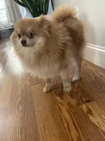 processed/95677461-1601-462b-8d89-104f769c780c/listing/53823a6a-c56f-4cc5-8de9-36b4a6e7348c/6724a2d3-bb17-49ae-a32d-b3cd3f0ecea6