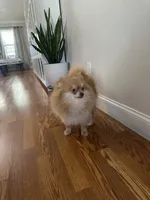 processed/95677461-1601-462b-8d89-104f769c780c/listing/53823a6a-c56f-4cc5-8de9-36b4a6e7348c/8eab7956-86fc-4381-90db-468d3f148923