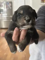 processed/95677461-1601-462b-8d89-104f769c780c/listing/6951a3aa-d36d-4127-a88f-a3b219c10f48/05d2ddc7-45a2-4db9-b9fb-953a08590448