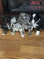 processed/95677461-1601-462b-8d89-104f769c780c/listing/6951a3aa-d36d-4127-a88f-a3b219c10f48/29b95b3a-6081-45ad-8563-4a353fccbdcc