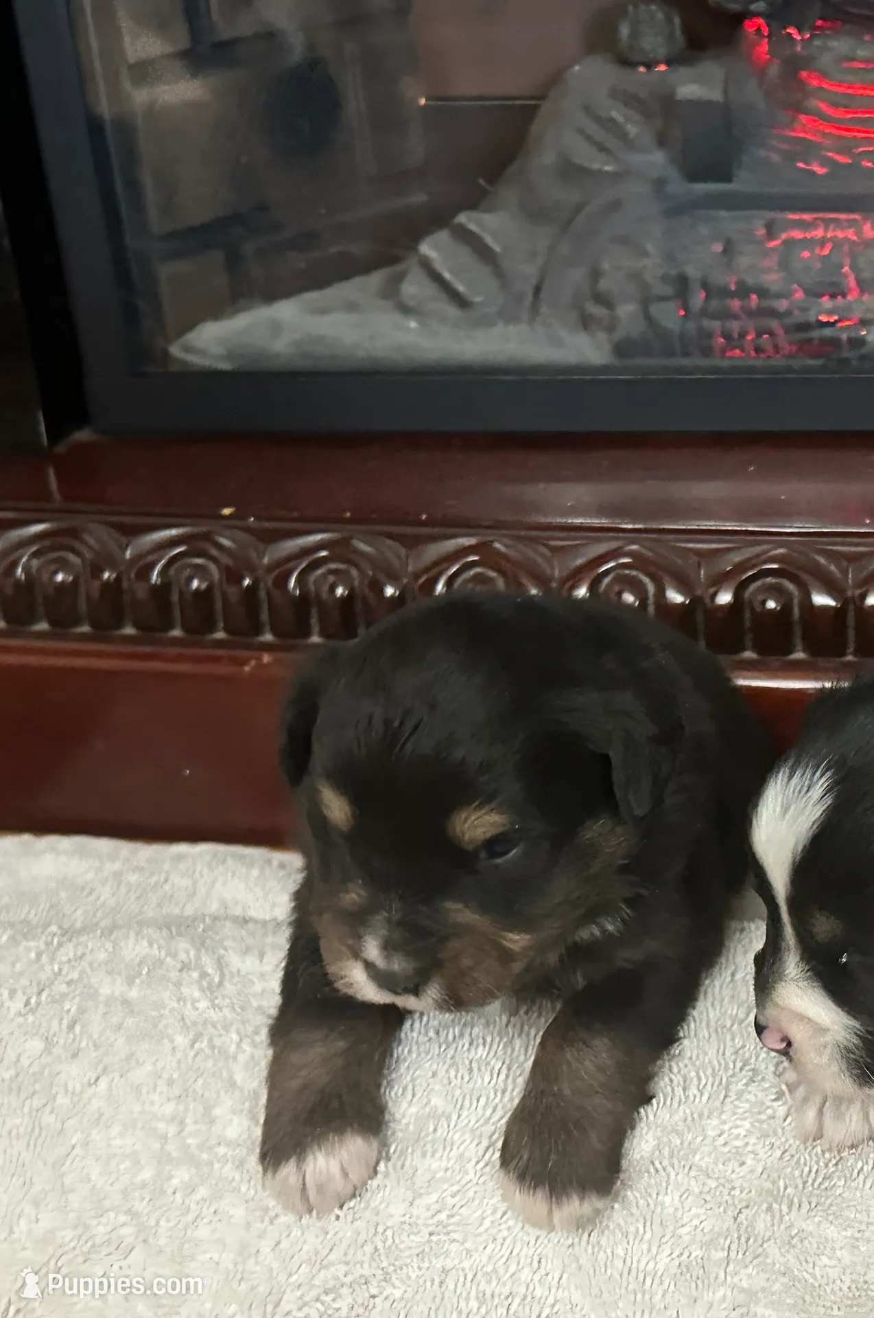 processed/95677461-1601-462b-8d89-104f769c780c/listing/6951a3aa-d36d-4127-a88f-a3b219c10f48/5d520a05-bcc9-4f8d-b970-c84dcfe77462