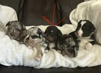 processed/95677461-1601-462b-8d89-104f769c780c/listing/6951a3aa-d36d-4127-a88f-a3b219c10f48/cf622cc5-22cc-4057-9310-123b303b17e1