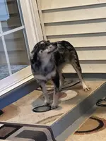 processed/95677461-1601-462b-8d89-104f769c780c/listing/b3210c6a-7613-4194-839d-abc39a335bdf/d8eff7a2-c90e-47e4-8c0b-abb65b57e5d1