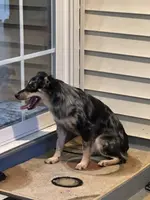 processed/95677461-1601-462b-8d89-104f769c780c/listing/b3210c6a-7613-4194-839d-abc39a335bdf/edf02f77-a633-4e20-9d6c-f6b550f831d3