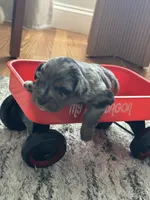 processed/95677461-1601-462b-8d89-104f769c780c/listing/e2817fd5-48c4-4fd0-8931-a0604f6fef99/7d974251-3a16-4f2c-87fc-189d58b69e47