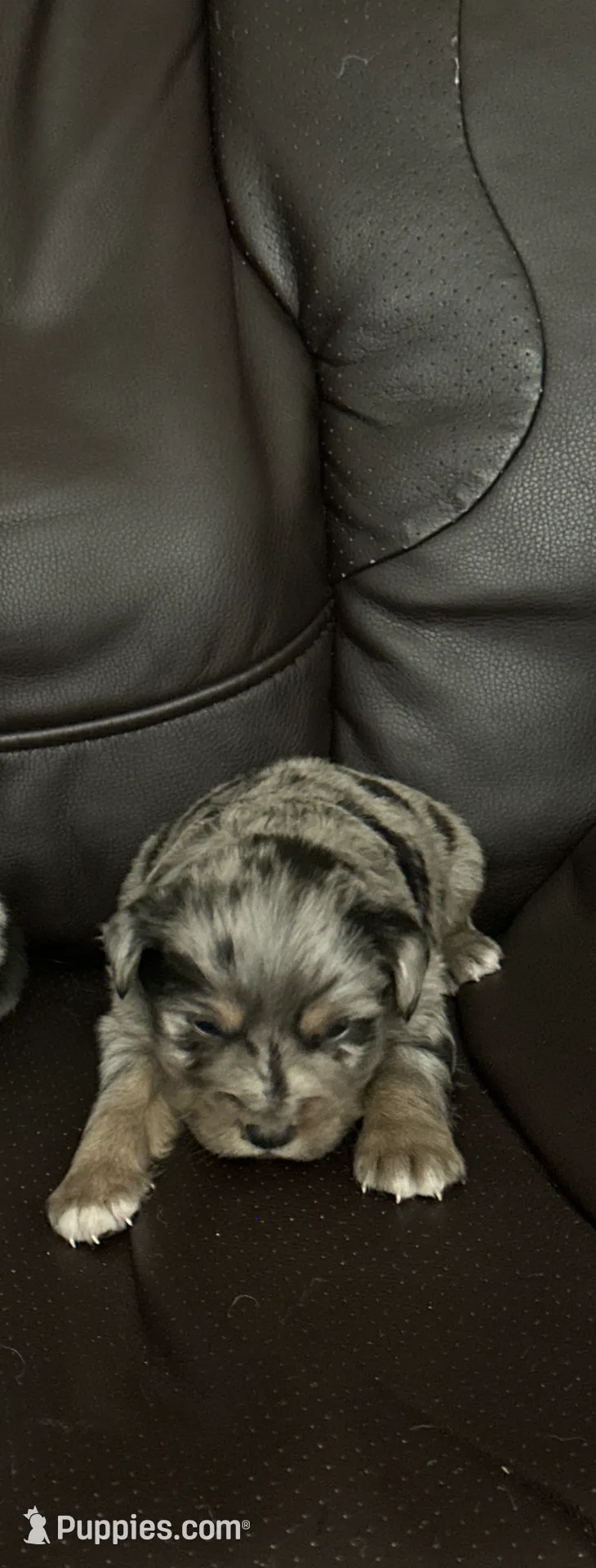 processed/95677461-1601-462b-8d89-104f769c780c/listing/e2817fd5-48c4-4fd0-8931-a0604f6fef99/9b976f4f-f361-4b6a-a201-87e5df12d504