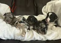 processed/95677461-1601-462b-8d89-104f769c780c/listing/e2817fd5-48c4-4fd0-8931-a0604f6fef99/cb5e967c-a529-470d-bacf-d70a8ca7e651