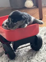 processed/95677461-1601-462b-8d89-104f769c780c/listing/fc697b0b-8e02-4070-8404-3266d42705c8/1e07b391-8ed8-42cc-8966-0cc43a624515