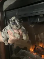 processed/95677461-1601-462b-8d89-104f769c780c/listing/fc697b0b-8e02-4070-8404-3266d42705c8/237ccad4-77a9-4c1c-9d76-440ed62c0c1a