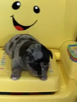 processed/95677461-1601-462b-8d89-104f769c780c/listing/fc697b0b-8e02-4070-8404-3266d42705c8/27f0eb6a-f3c4-4800-91b3-b27e64645322