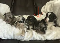 processed/95677461-1601-462b-8d89-104f769c780c/listing/fc697b0b-8e02-4070-8404-3266d42705c8/4d17acff-eab7-41dd-93fc-77f1c51f0842