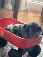 processed/95677461-1601-462b-8d89-104f769c780c/listing/fc697b0b-8e02-4070-8404-3266d42705c8/f8fac4df-70a1-4ccb-8573-7e356f6d92d2