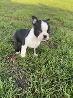 processed/9567b6b2-d231-4859-a29b-3cefa594fe3a/listing/64f7df59-07da-445f-a116-c08f2a68a73a/00291348-388d-4ebd-b225-eb8be8b1f5ed