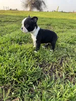 processed/9567b6b2-d231-4859-a29b-3cefa594fe3a/listing/64f7df59-07da-445f-a116-c08f2a68a73a/4f29ce20-4497-4263-8a55-cd322fbbc6d0