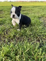 processed/9567b6b2-d231-4859-a29b-3cefa594fe3a/listing/64f7df59-07da-445f-a116-c08f2a68a73a/8c8deaf1-c054-47ff-8222-db79219f74c3