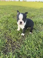 processed/9567b6b2-d231-4859-a29b-3cefa594fe3a/listing/64f7df59-07da-445f-a116-c08f2a68a73a/da25984b-3e16-45de-b03b-480e61738856