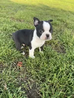 processed/9567b6b2-d231-4859-a29b-3cefa594fe3a/listing/64f7df59-07da-445f-a116-c08f2a68a73a/e7c1bf56-fc9d-4e55-a6d8-f9c21575b7ab