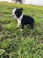 processed/9567b6b2-d231-4859-a29b-3cefa594fe3a/listing/64f7df59-07da-445f-a116-c08f2a68a73a/f0762029-f93f-49dc-9123-9b7b57c6b09d