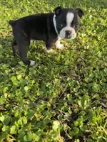 processed/9567b6b2-d231-4859-a29b-3cefa594fe3a/listing/e7a7ae3d-65a5-4072-8d74-5439783c4983/1f2e9e33-2b9c-4ad4-90d6-b3e961a99993