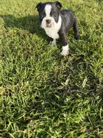 processed/9567b6b2-d231-4859-a29b-3cefa594fe3a/listing/e7a7ae3d-65a5-4072-8d74-5439783c4983/885b5cb6-d715-4df3-a0ca-159375c894bc